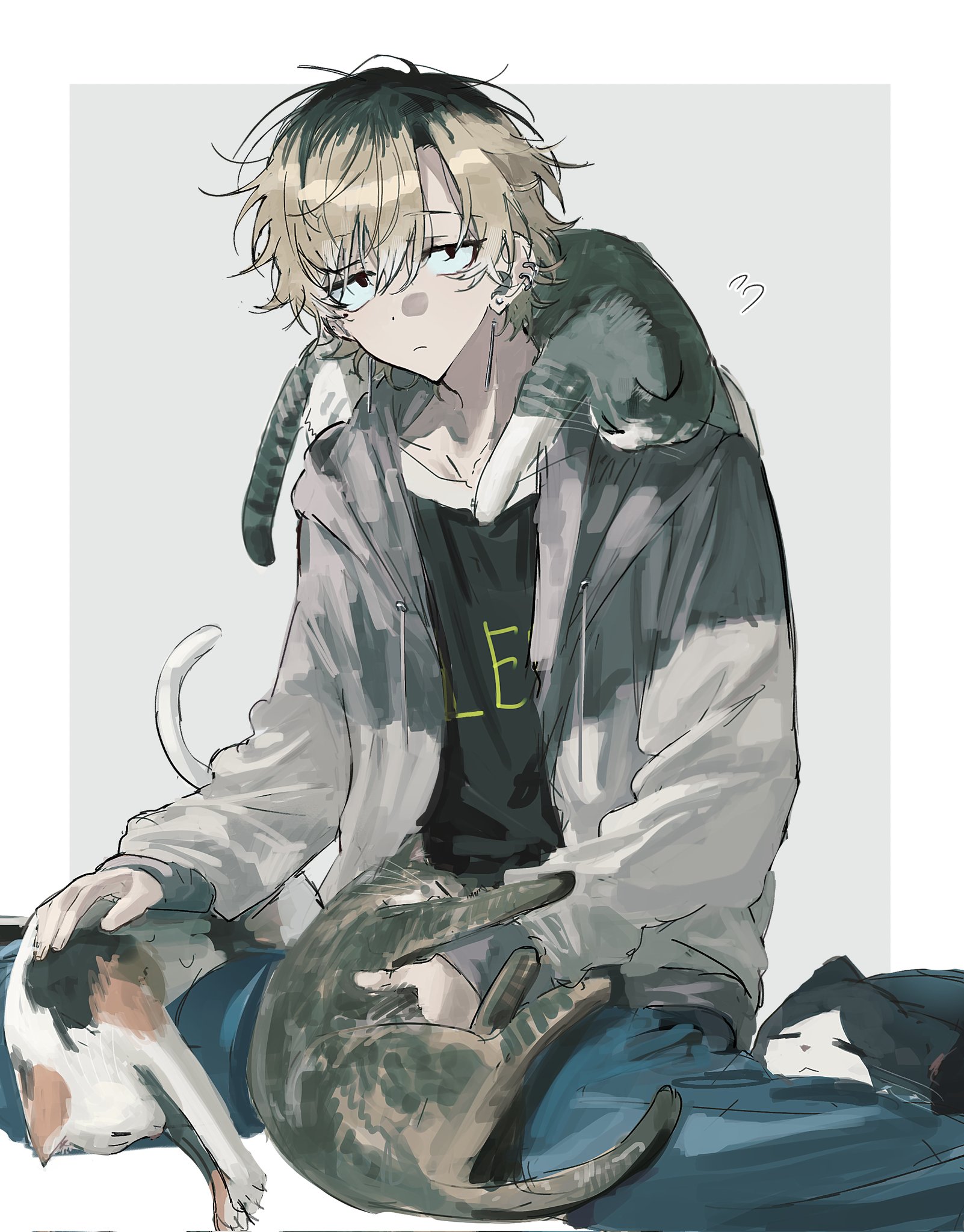 original, hashtag-only commentary, highres, 1boy, animal, animal on shoulder, black eyes, black shirt, blue pants, border, bored, brown hair, cat, cat on shoulder, closed mouth, denim, feet out of frame, grey background, grey jacket, hair between eyes, hood, hood down, hooded jacket, jacket, jeans, long sleeves, looking at viewer, male focus, multicolored hair, open clothes, open jacket, outside border, pants, parted bangs, roots (hair), sanpaku, shirt, short hair, sini user, solo, white border