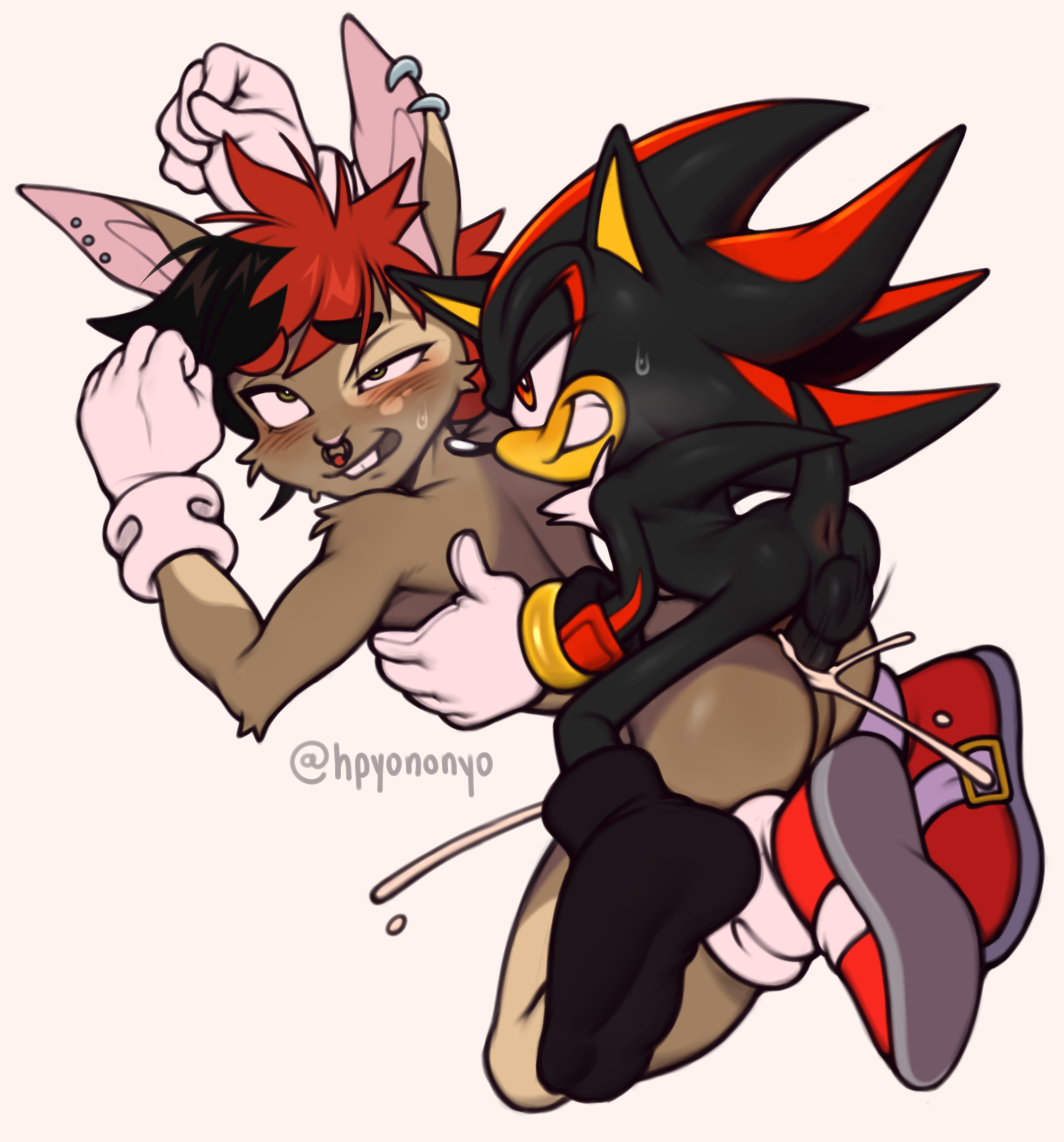 Rule34 – If it exists, there is porn of it / shadow the hedgehog / 10927364