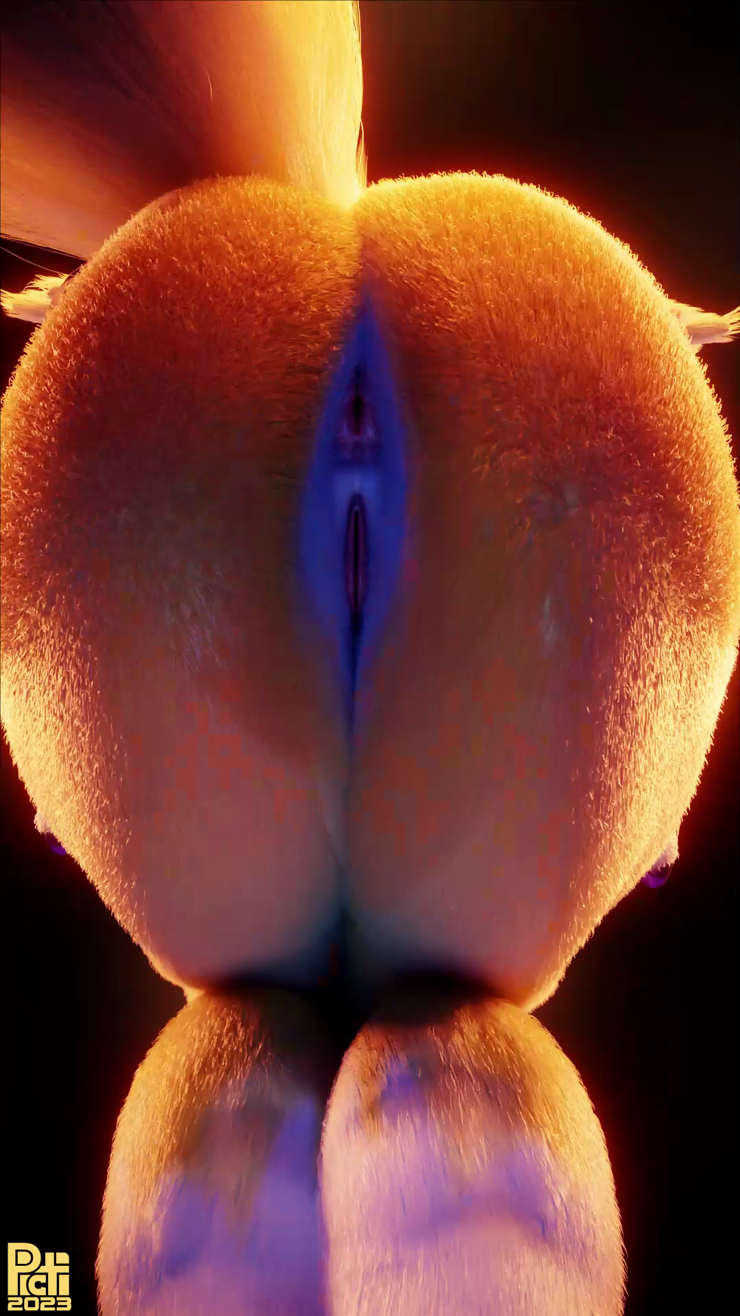 Rule34 – If it exists, there is porn of it / renamon / 10941419