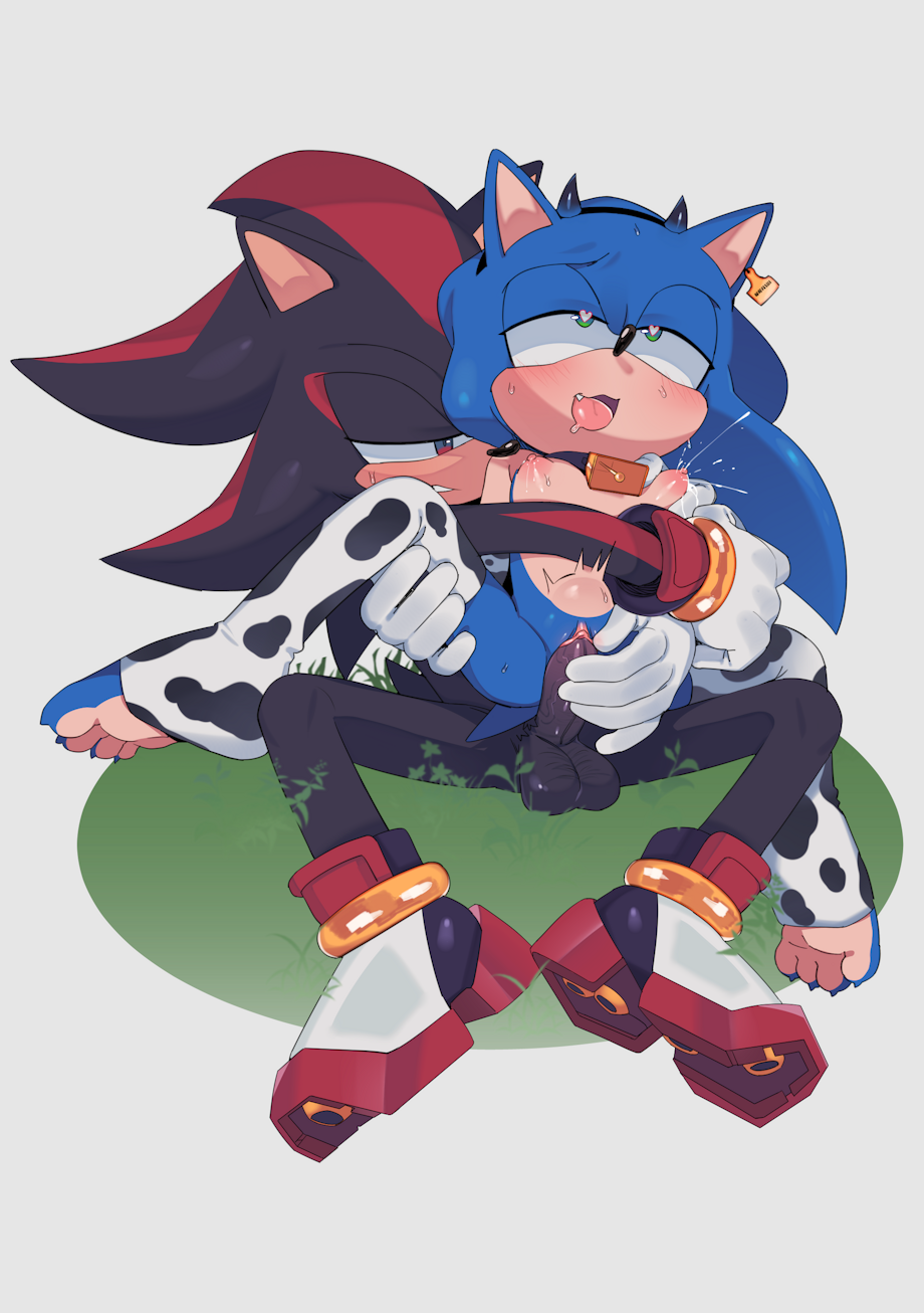 Rule34 – If it exists, there is porn of it / r18, shadow the hedgehog, sonic the hedgehog / 10992197