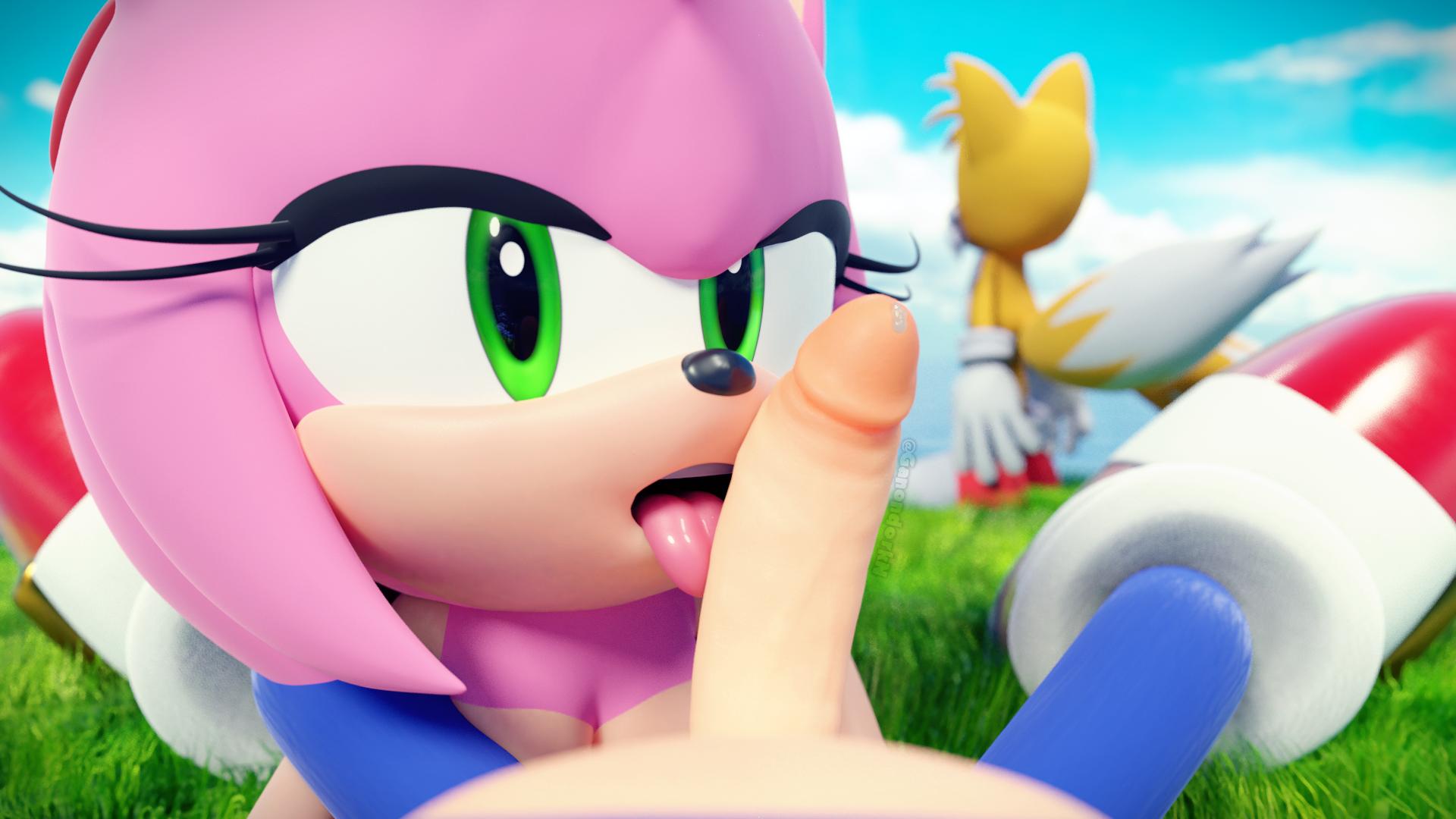 Rule34 – If it exists, there is porn of it / ganondork, amy rose, sonic the hedgehog, tails / 571077