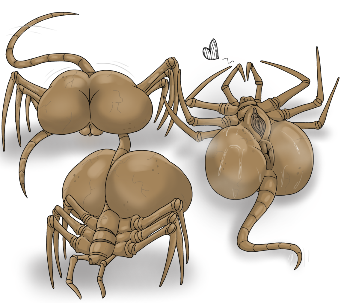 Rule34 – If it exists, there is porn of it / facehugger / 11011093