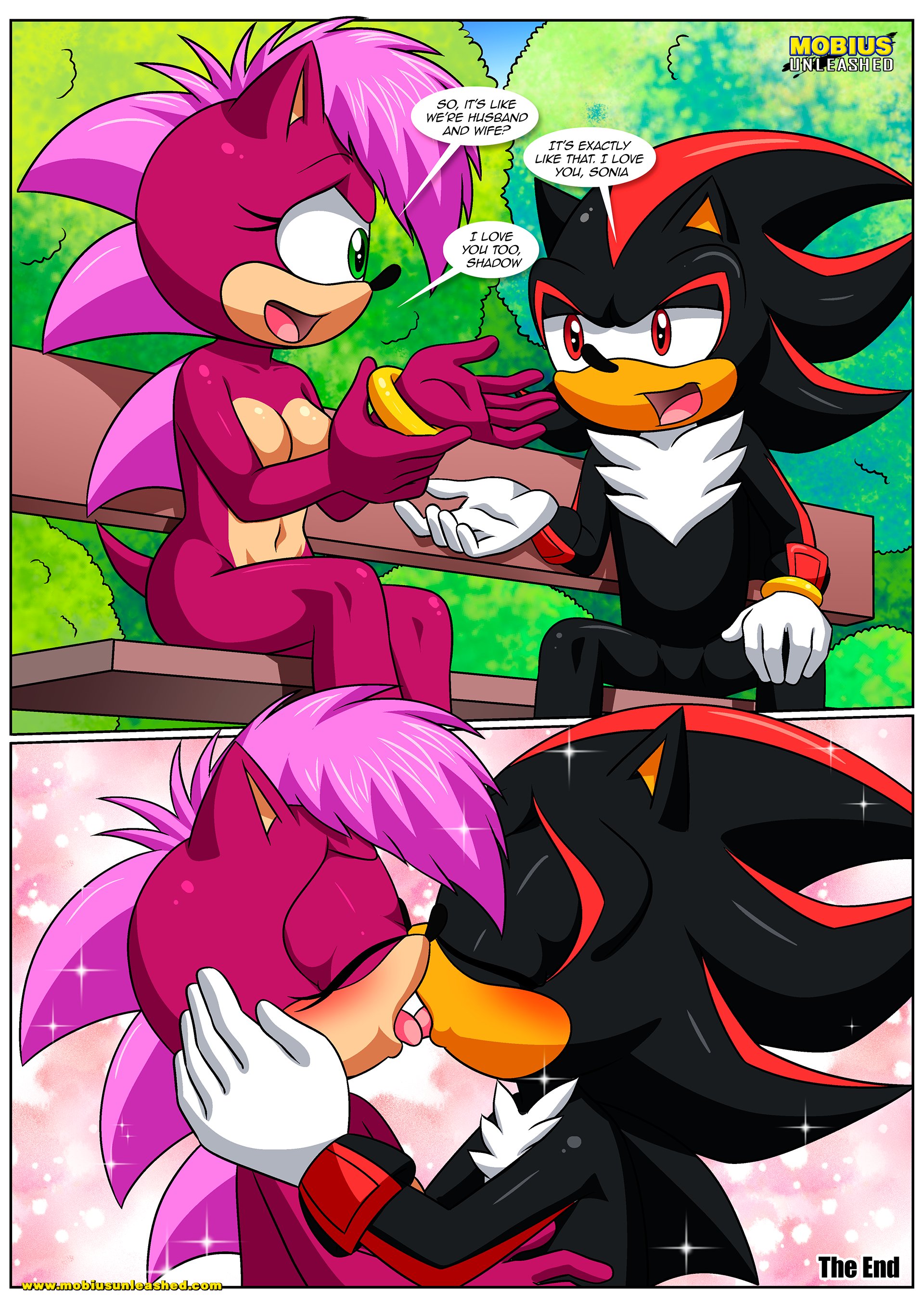 Rule34 – If it exists, there is porn of it / bbmbbf, palcomix, shadow the hedgehog, sonia the hedgehog / 11021840