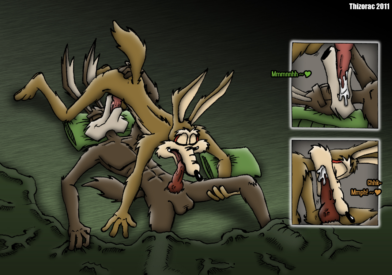 Rule34 – If it exists, there is porn of it / thizorac, tech e coyote, wile e. coyote / 571835