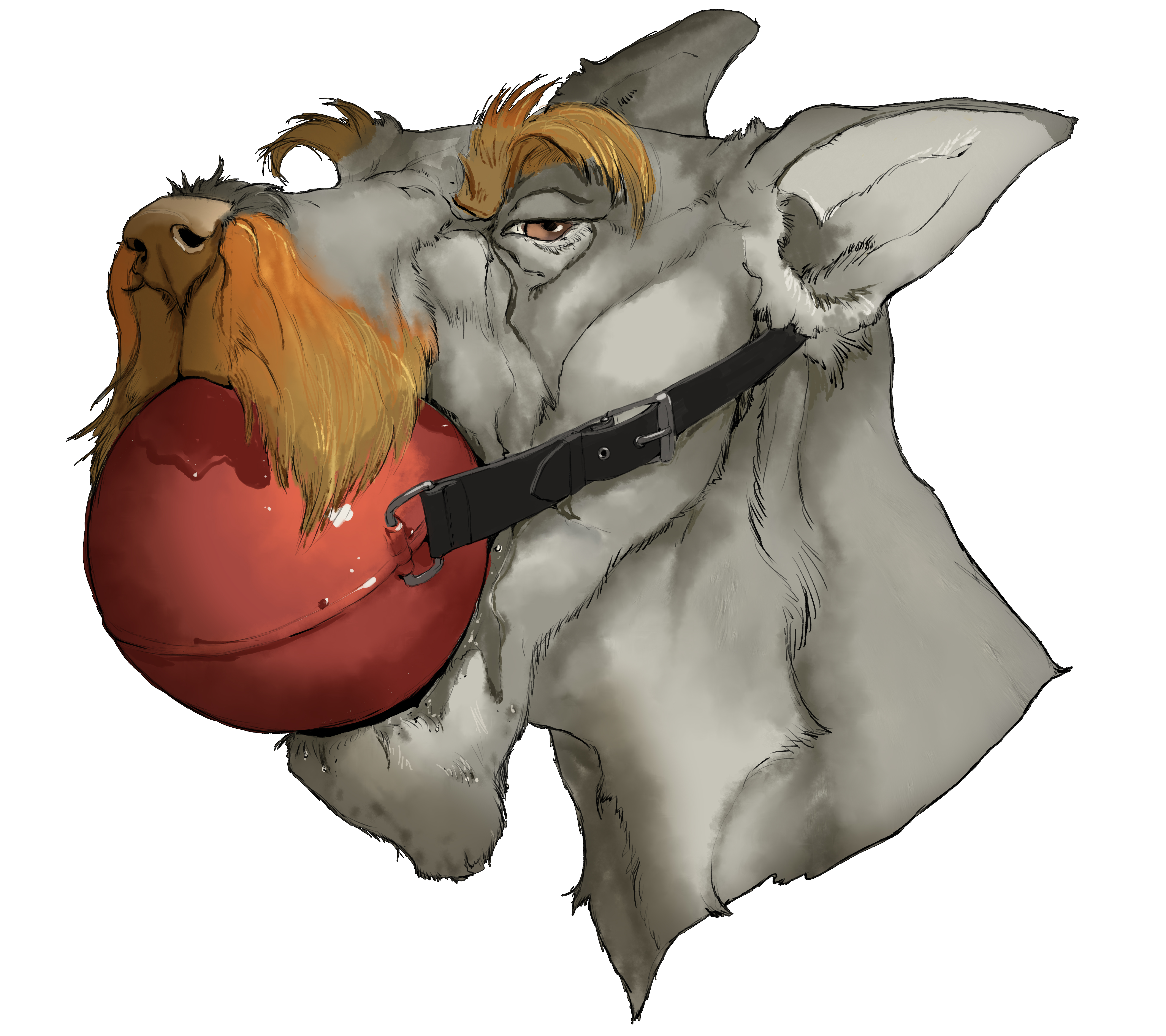 Rule34 – If it exists, there is porn of it / priscillasheep / 572589