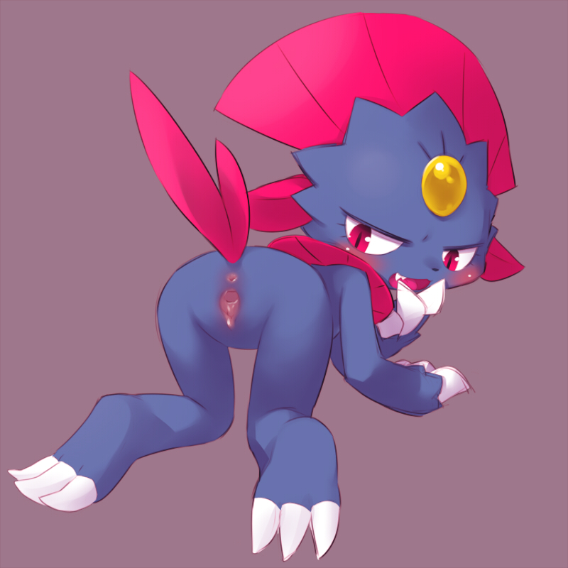 Rule34 – If it exists, there is porn of it / weavile / 573618