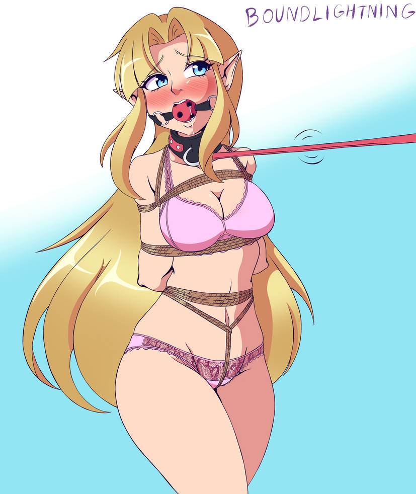 Rule34 – If it exists, there is porn of it / boundlightning, princess zelda / 11086130