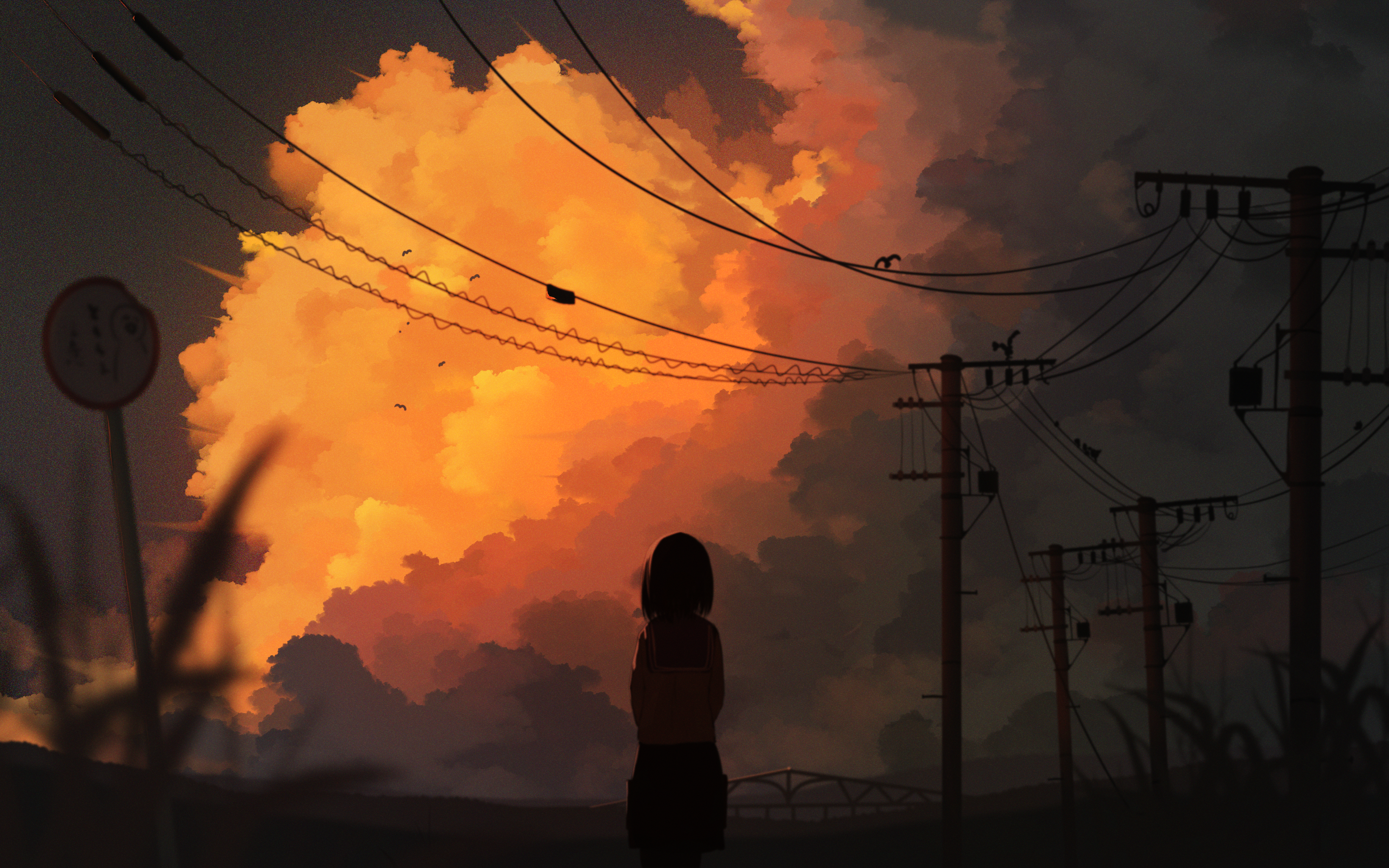 tochichima, original, absurdres, bad id, bad pixiv id, commentary request, highres, 1girl, cloud, cloudy sky, from behind, golden hour, outdoors, road sign, scenery, school uniform, serafuku, short hair, sign, simple bird, sky, solo, sunset, utility pole