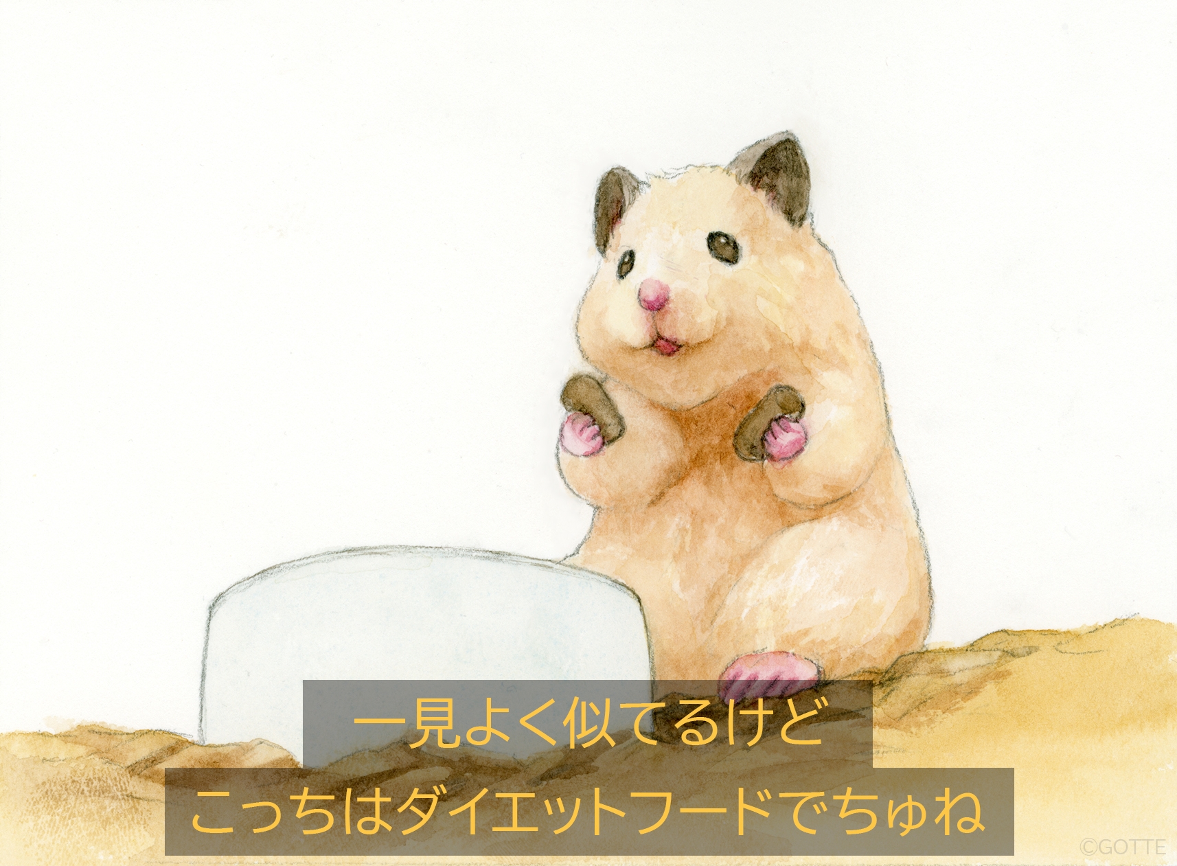 gotte, original, commentary request, highres, painting (medium), traditional media, translation request, watercolor (medium), animal, animal focus, artist name, bowl, food, hamster, holding, holding food, no humans, pet food, sitting, subtitled, white background