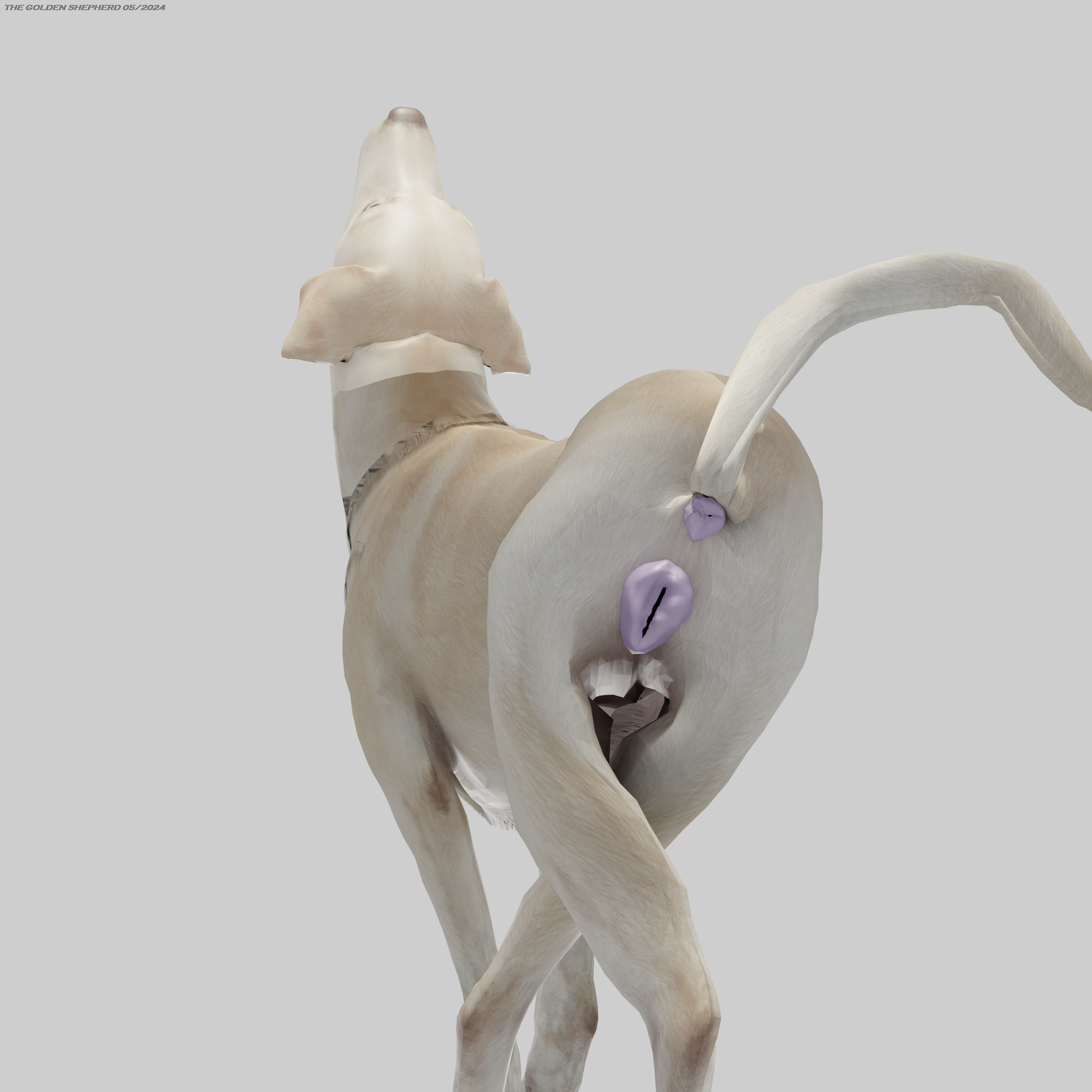 Rule34 – If it exists, there is porn of it / / 11108154