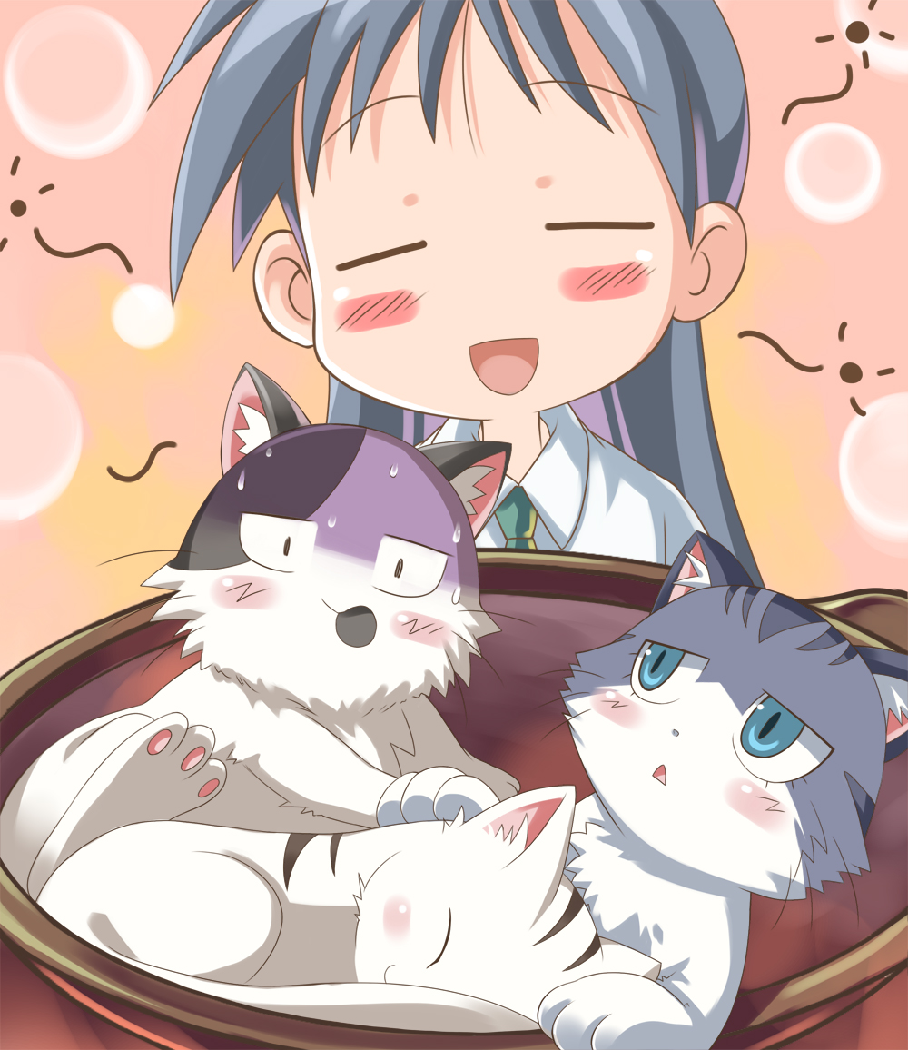 shoufukucho, haa-san (sketchbook full colors), kajiwara sora, mike (sketchbook full colors), sketchbook full colors, silver hair, 00s, 1girl, ^ ^, animal, basket, blush, cat, closed eyes, collared shirt, drunk, green eyes, long hair, orange background, shirt, simple background, surprised, very long hair, wide-eyed