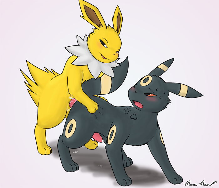 Rule34 – If it exists, there is porn of it / maxi meow, eeveelution, jolteon, umbreon / 576433