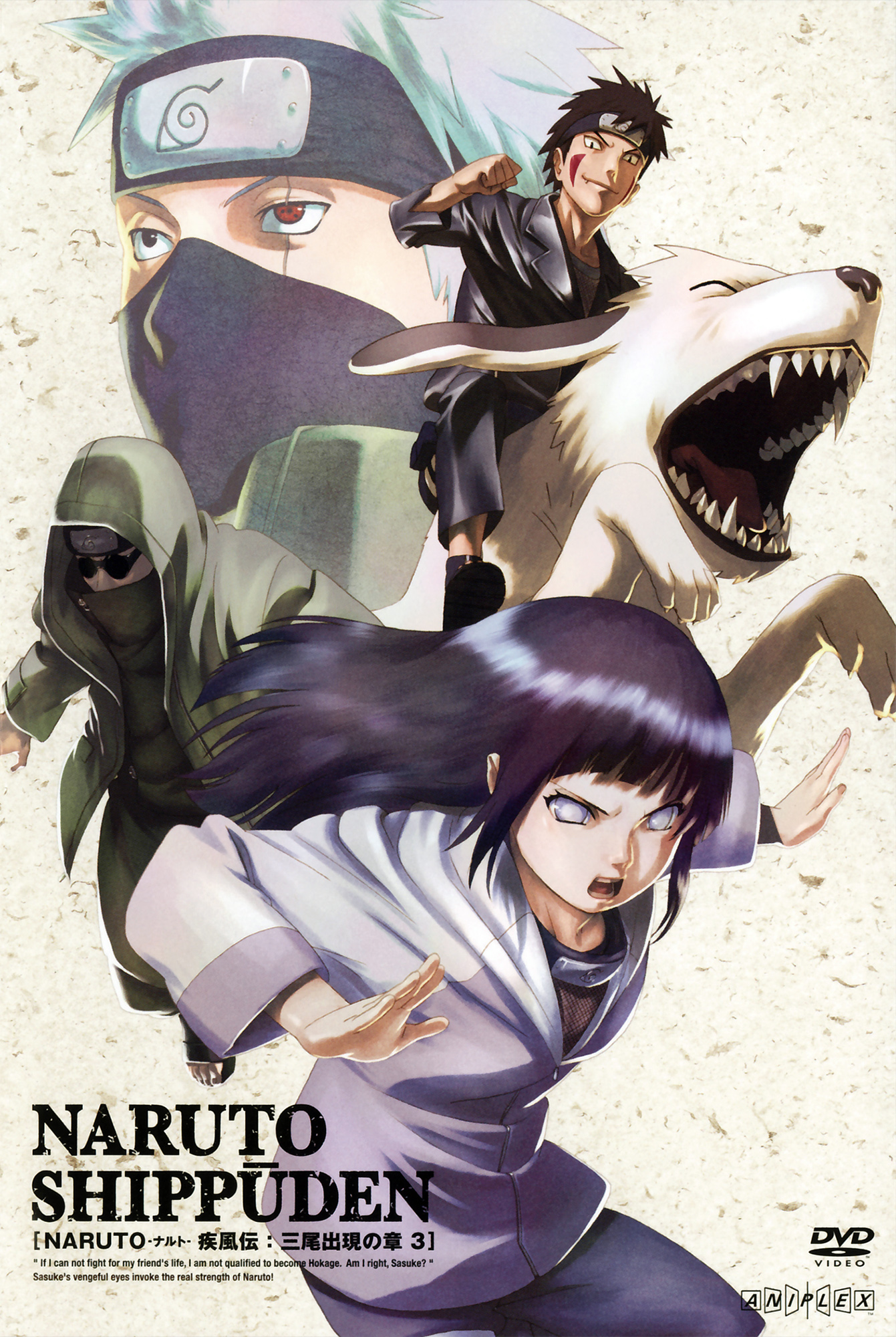 aburame shino, akamaru (naruto), hatake kakashi, hyuuga hinata, inuzuka kiba, naruto (classic), naruto (series), artist request, highres, official art, 1girl, 3boys, black hair, cover, dog, dvd cover, forehead protector, half mask, headband, heterochromia, hood, long hair, mask, mouth mask, multiple boys, ninja, ninja mask, purple eyes, sharingan, sunglasses