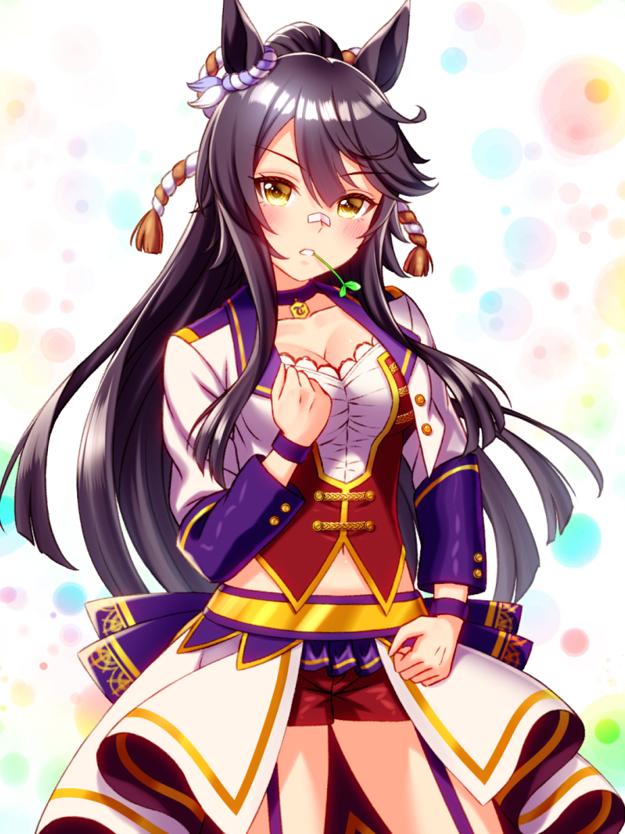 sugimotty nova, narita brian (umamusume), umamusume, commentary request, highres, 1girl, animal ears, bandaid, bandaid on face, bandaid on nose, black hair, blush, bodice, breasts, choker, cleavage, collarbone, corset, cropped jacket, ear ornament, garter straps, hair between eyes, horse ears, horse girl, jacket, large breasts, long hair, long sleeves, looking at viewer, midriff peek, mouth hold, navel, no tail, overskirt, parted lips, pendant choker, ponytail, purple choker, purple garter straps, red corset, red shorts, rope, shimenawa, shirt, shorts, stalk in mouth, starting future (umamusume), white jacket, white shirt, wristband, yellow eyes
