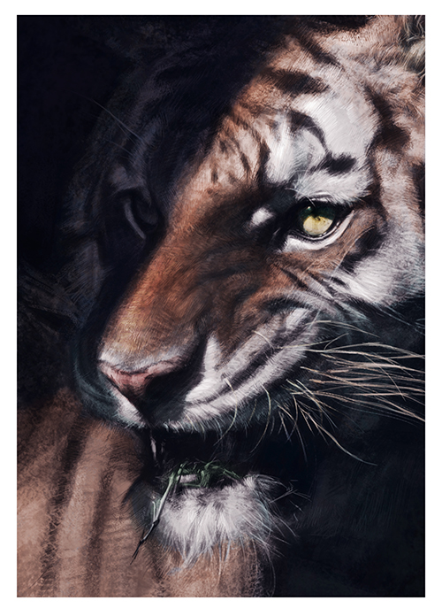 original, commentary request, animal, animal focus, border, green eyes, multicolored fur, no humans, orange fur, photorealistic, portrait, realistic, senda 947093881, solo, tiger, white border, white fur