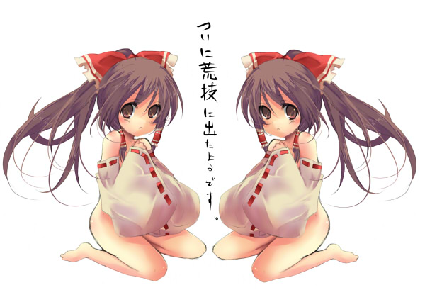pochi-t, pochi t, hakurei reimu, touhou, 1girl, barefoot, brown eyes, brown hair, detached sleeves, female focus, hair ribbon, japanese clothes, kneeling, long hair, miko, ponytail, ribbon, siblings, twins