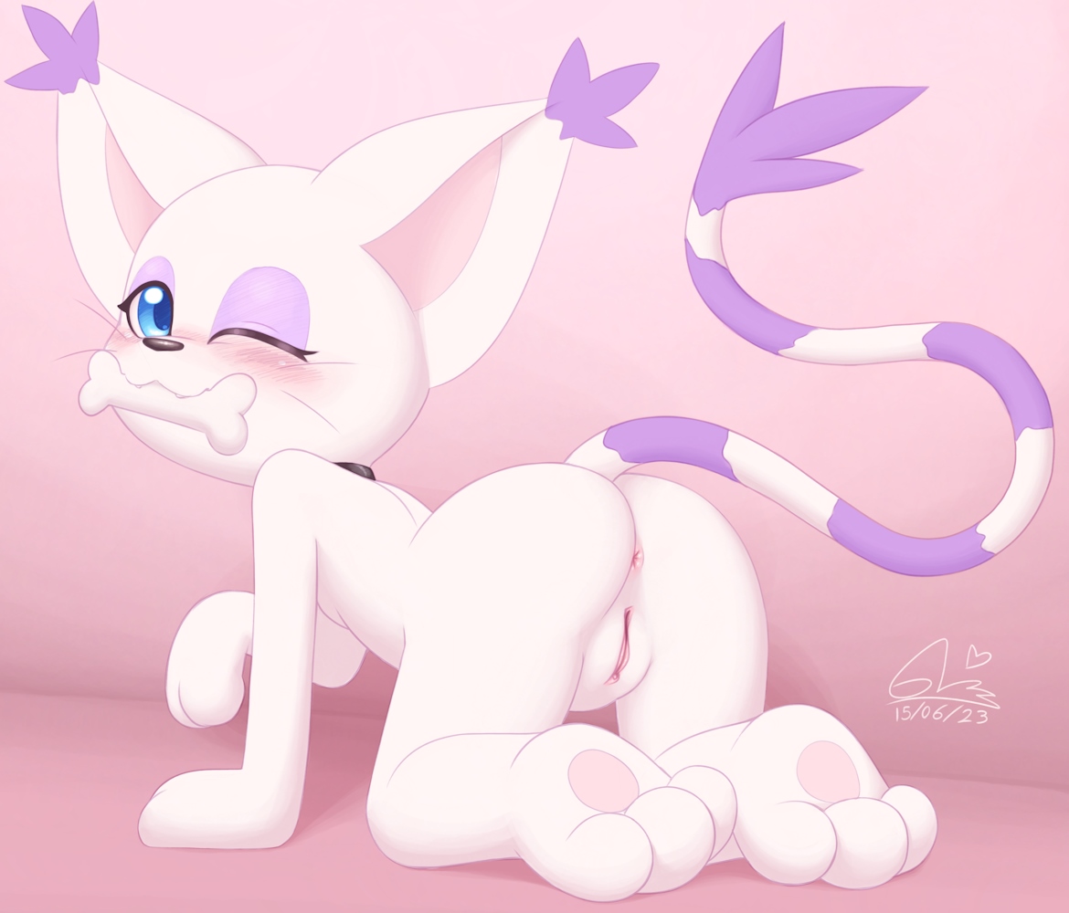 Rule34 – If it exists, there is porn of it / gatomonlover, digimon (species), gatomon / 11307244