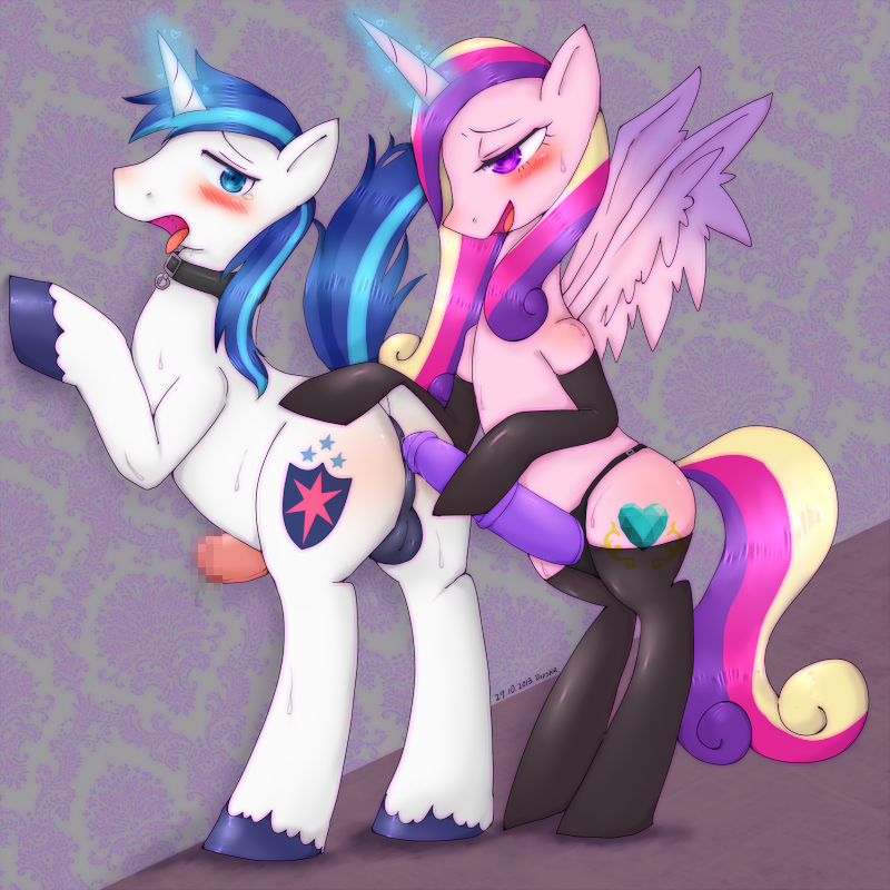 Rule34 – If it exists, there is porn of it / divskr, princess cadance (mlp), shining armor (mlp) / 581150