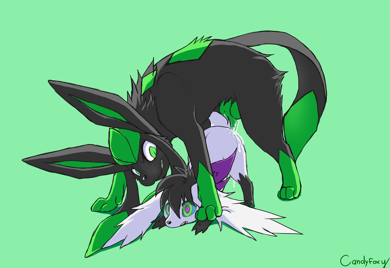 Rule34 – If it exists, there is porn of it / candyfoxy, eeveelution, glaceon, shaymin / 582076