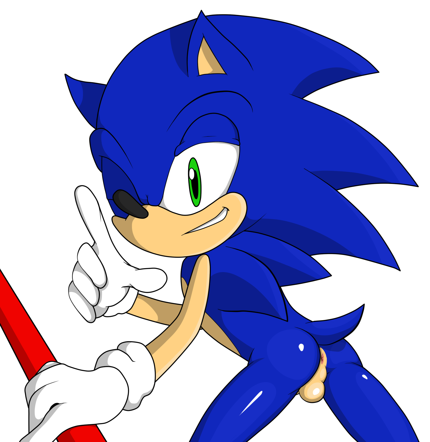 Rule34 – If it exists, there is porn of it / jetfrozen, sonic the hedgehog / 582769