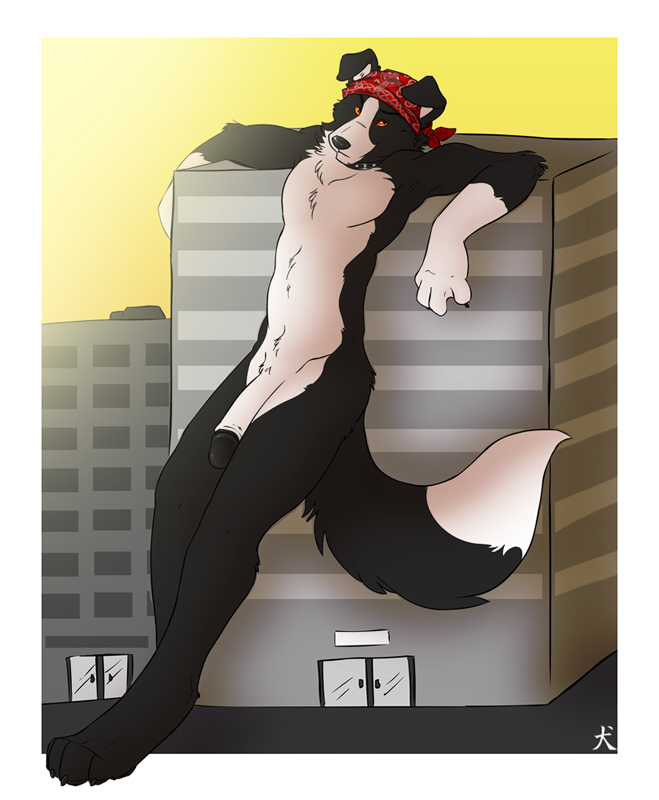 Rule34 – If it exists, there is porn of it / straydog / 583303