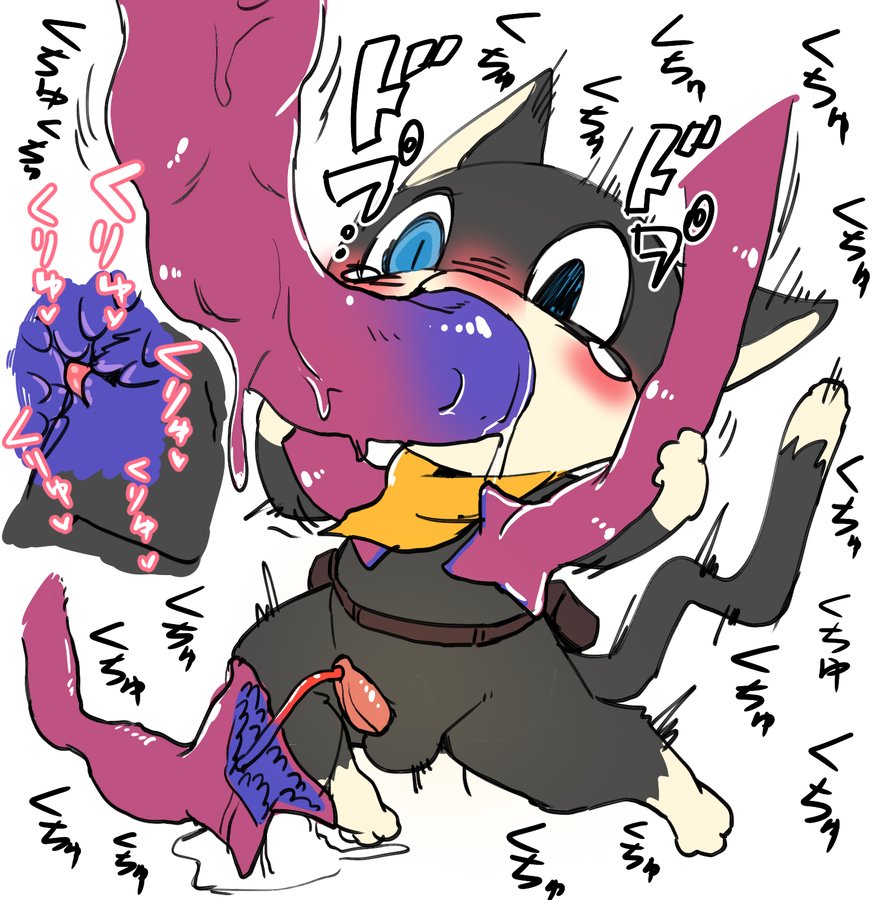 Rule34 – If it exists, there is porn of it / manmosu marimo, morgana (persona) / 584664