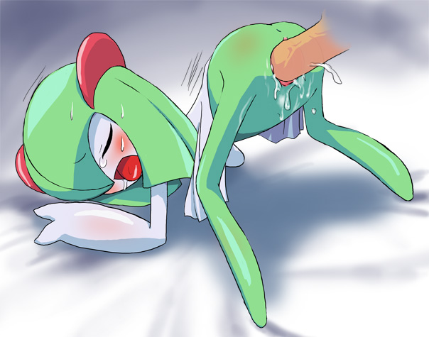 Rule34 – If it exists, there is porn of it / kirlia / 584853