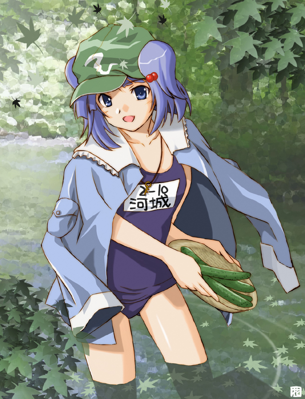 hana (hana mo arashi mo), kawashiro nitori, sengoku nadeko, bakemonogatari, monogatari (series), touhou, 1girl, female focus, jacket, jacket on shoulders, leaf, one-piece swimsuit, parody, school swimsuit, solo, swimsuit, two side up, wading, water