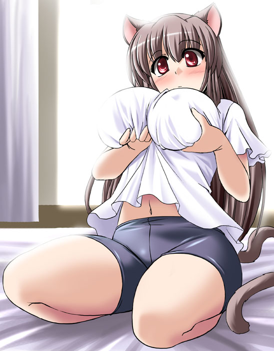 tonpuu, original, 1girl, animal ears, bed, bike shorts, breast lift, breasts, brown hair, cat ears, cat tail, female focus, large breasts, long hair, red eyes, solo, tail