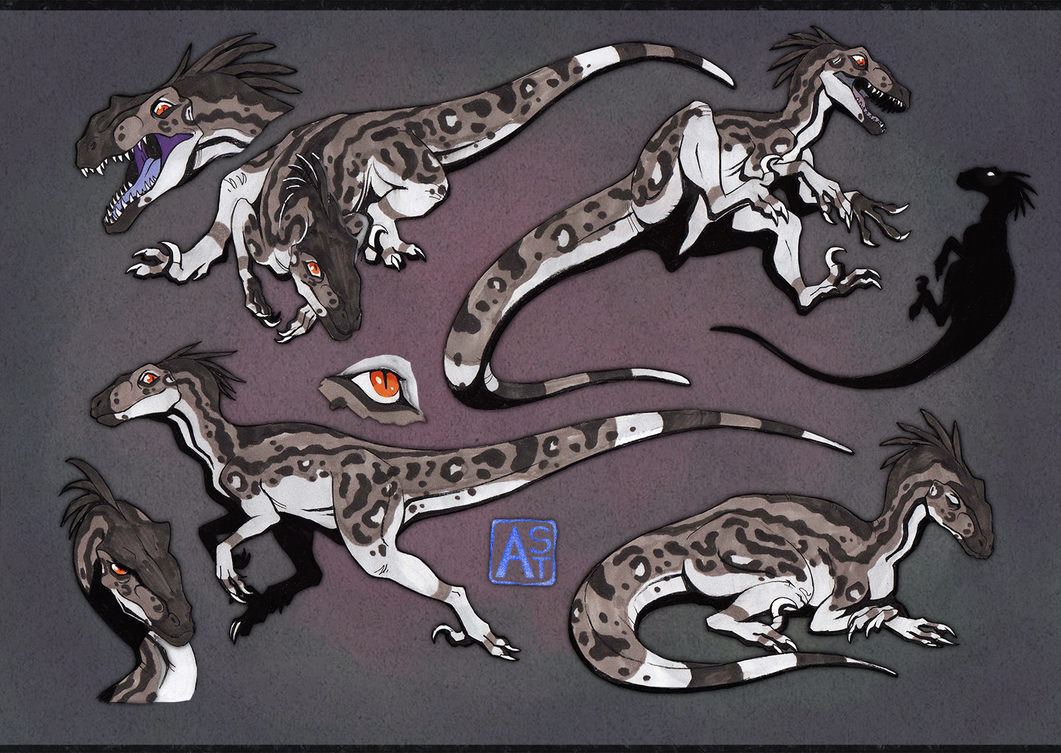 original, animal focus, artist name, astarcis, claws, closed mouth, dinosaur, dynamic pose, fangs, feathered dinosaur, feathers, full body, multiple views, no humans, open mouth, raptor, reference sheet, sharp teeth, simple background, tail, teeth, utahraptor, velociraptor, watermark