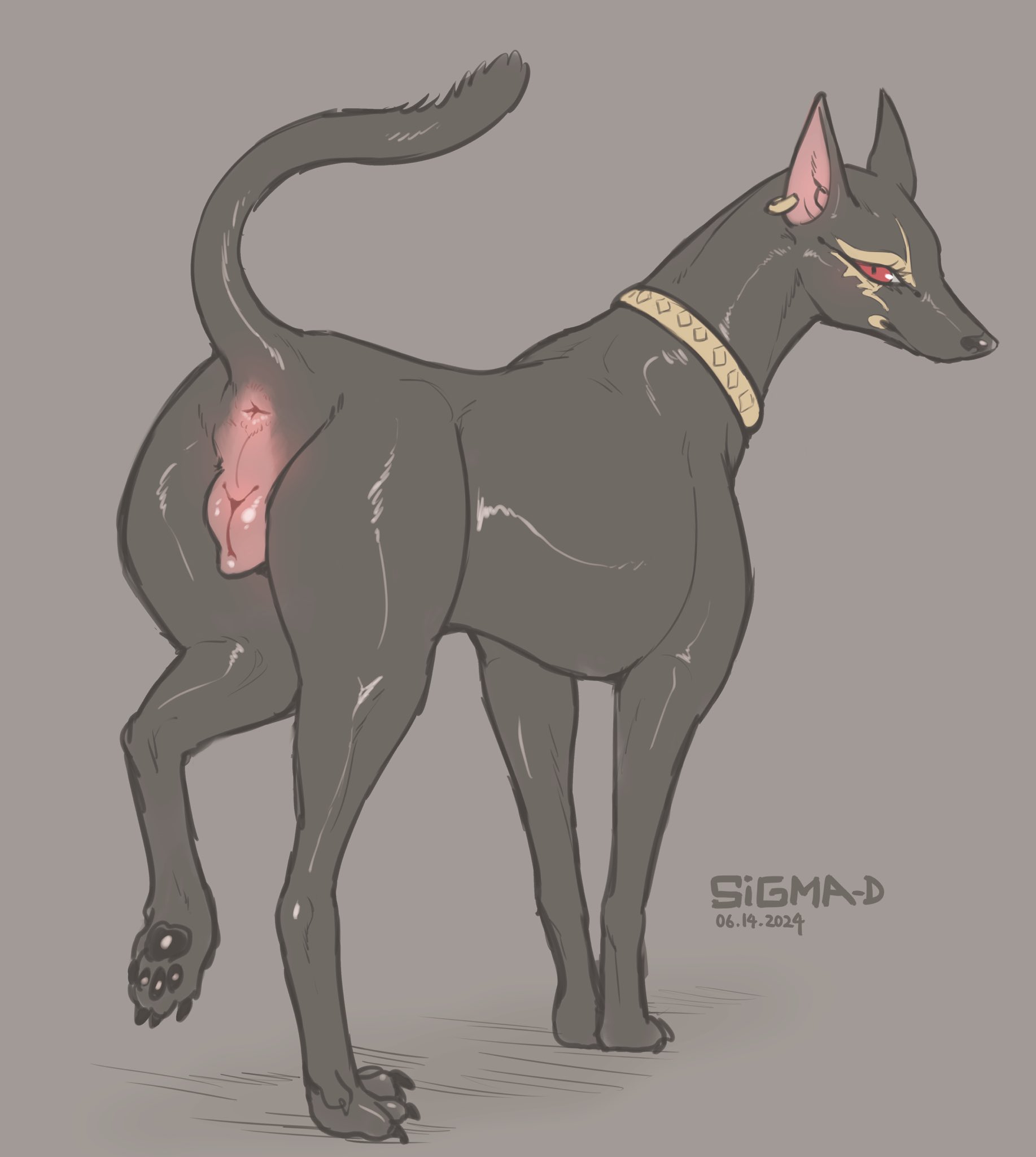 Rule34 – If it exists, there is porn of it / iris / 11461175