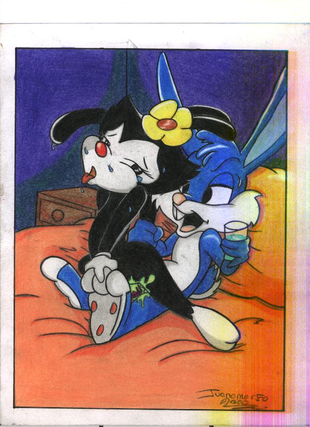 Rule34 – If it exists, there is porn of it / juanomorfo, buster bunny, dot warner / 589149