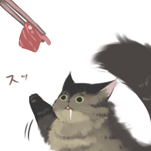 hanokage, original, lowres, :<, animal focus, cat, chopsticks, drooling, fish, fish (food), food, looking up, meat, no humans, sad, saliva, sashimi, simple background, solo, tail, teasing, white background