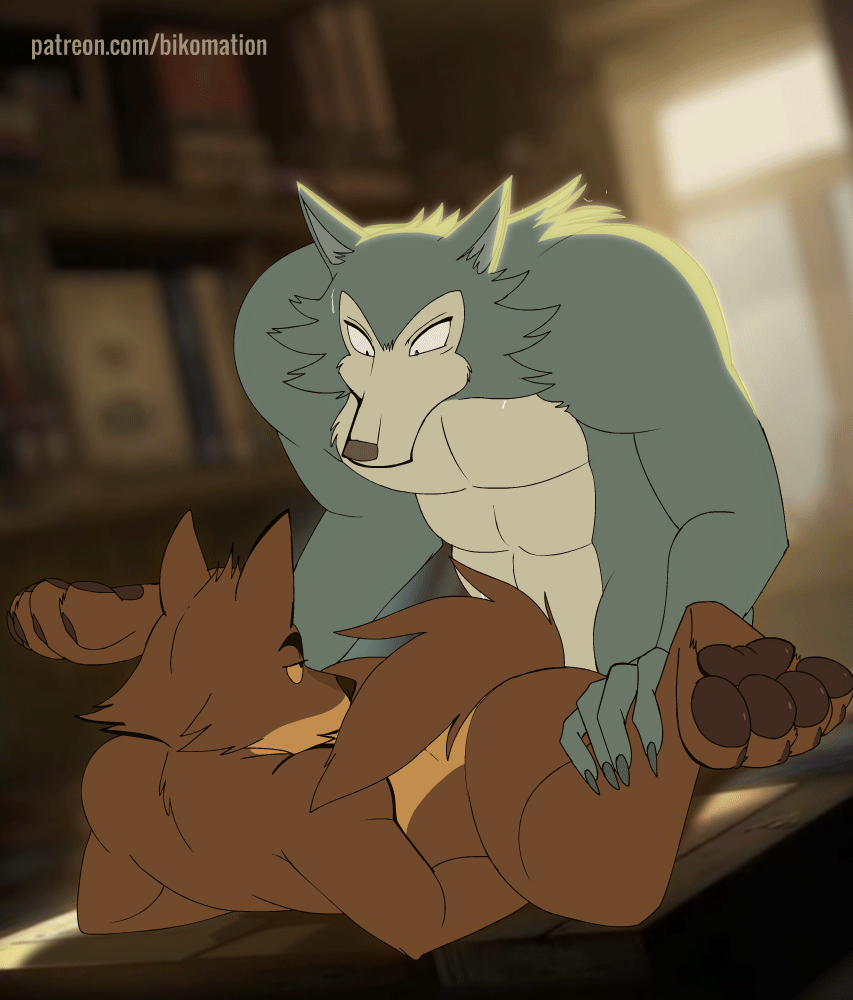 Rule34 – If it exists, there is porn of it / bikomation, legoshi (beastars) / 11475414