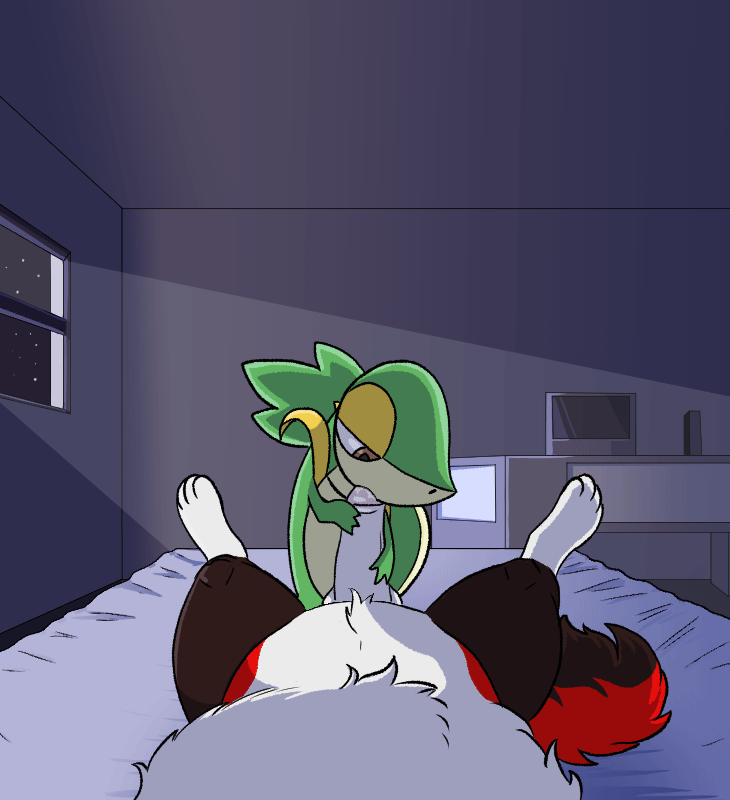 Rule34 – If it exists, there is porn of it / pokemon (species), snivy / 11475394