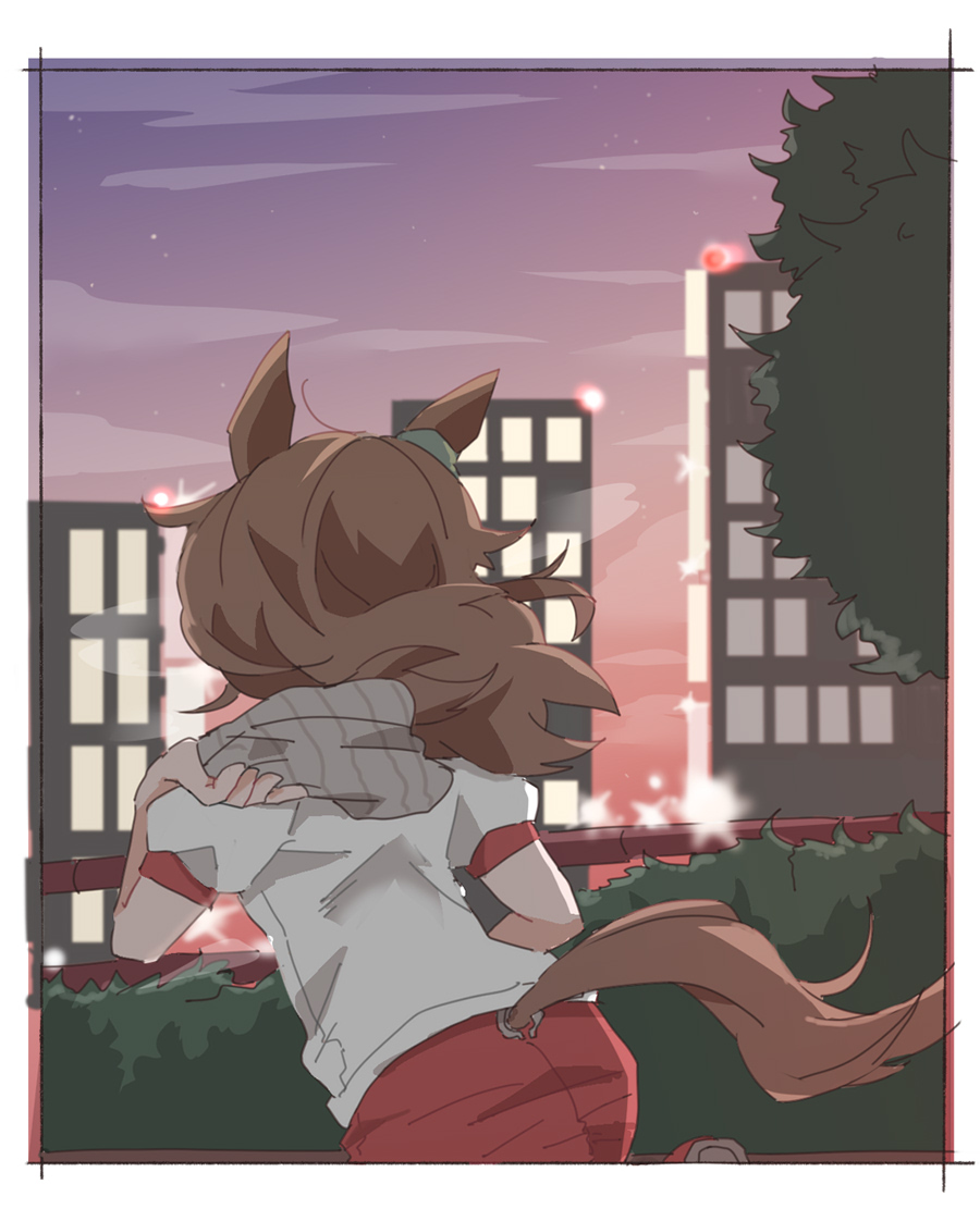 beer hsk, nakayama festa (umamusume), umamusume, commentary request, 1girl, animal ears, brown hair, building, cloud, facing away, from behind, grey hat, gym shirt, gym shorts, gym uniform, hat, holding, holding unworn clothes, holding unworn hat, horse ears, horse girl, horse tail, long hair, outdoors, puffy short sleeves, puffy sleeves, red shoes, ribbed hat, running, shirt, shoes, short sleeves, shorts, sky, solo, sunset, tail, unworn hat, unworn headwear, white shirt