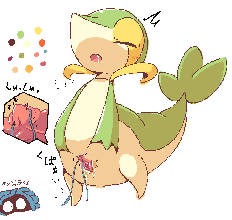 Rule34 – If it exists, there is porn of it / crepix, snivy, tangela / 591136