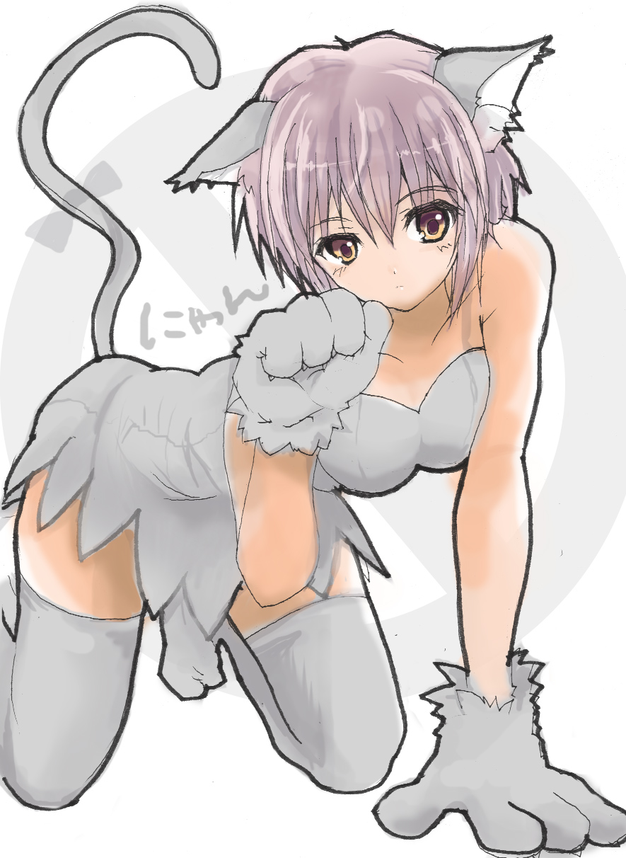 shiawase usagi, nagato yuki, acuo, suzumiya haruhi no yuuutsu, bad id, bad pixiv id, highres, 1girl, all fours, animal ears, animal hands, cat ears, cat paws, cat tail, dress, elbow gloves, female focus, gloves, kemonomimi mode, paw pose, solo, tail, thighhighs