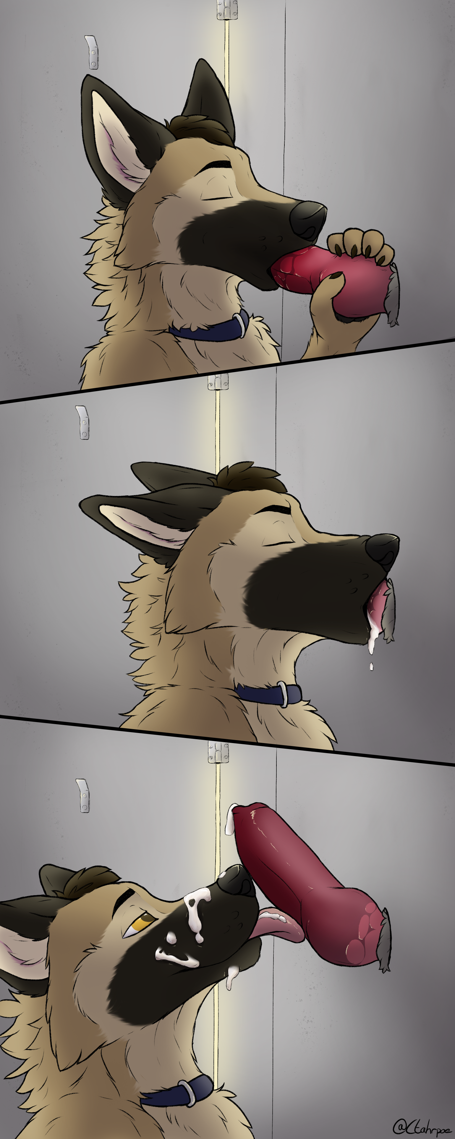 Rule34 – If it exists, there is porn of it / ctahrpoe / 594118