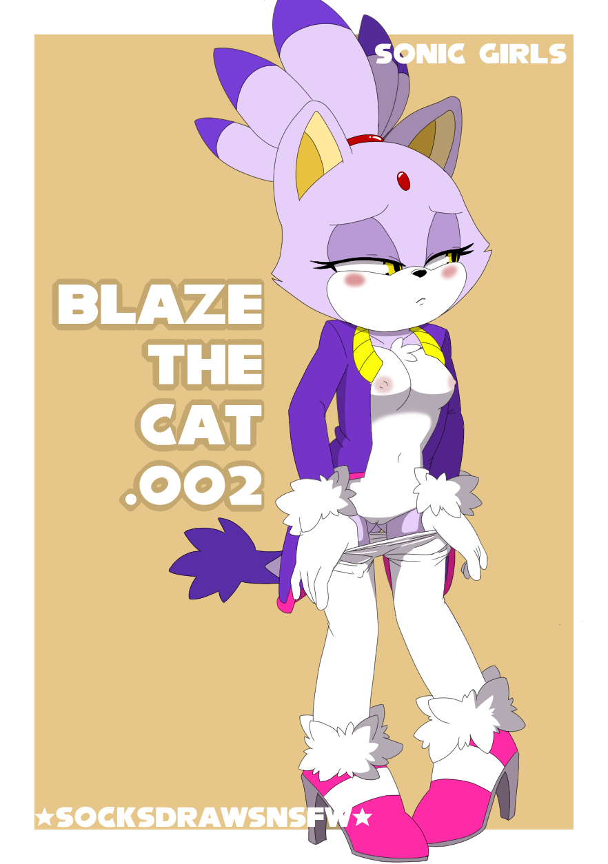 Rule34 – If it exists, there is porn of it / blaze the cat / 11625492