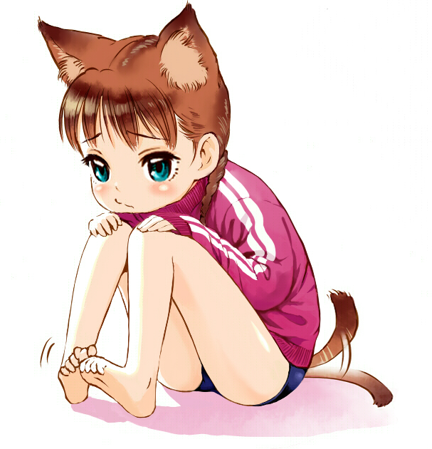 bungo, yamashita bungo, original, 1girl, animal ears, barefoot, buruma, coat, dog ears, double vertical stripe, feet, female focus, green eyes, simple background, sitting, solo, tail, tail wagging