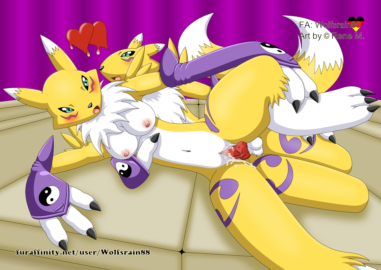 Rule34 – If it exists, there is porn of it / wolfsrain88, renamon / 594502