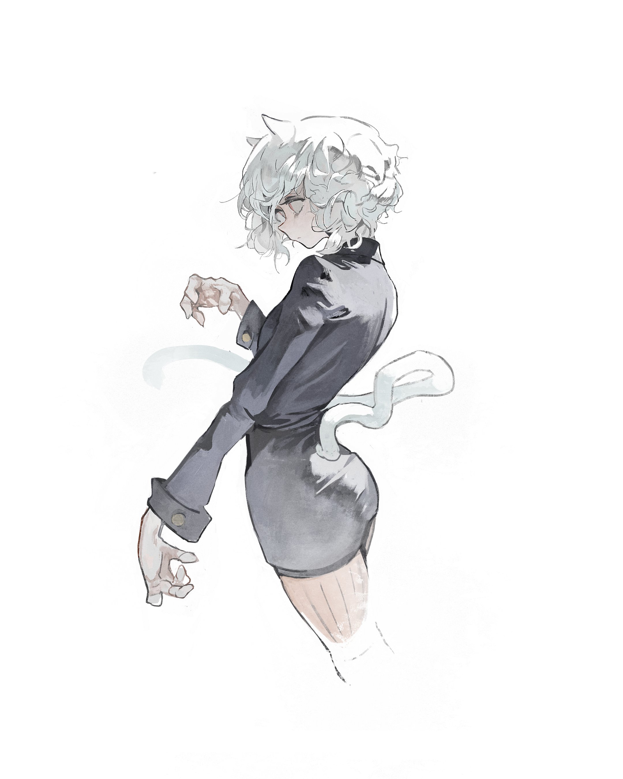 kanji (nievart), neferpitou, hunter x hunter, 1girl, animal ears, cat ears, cat girl, cat tail, from side, long sleeves, short hair, tail, white hair, whtie background
