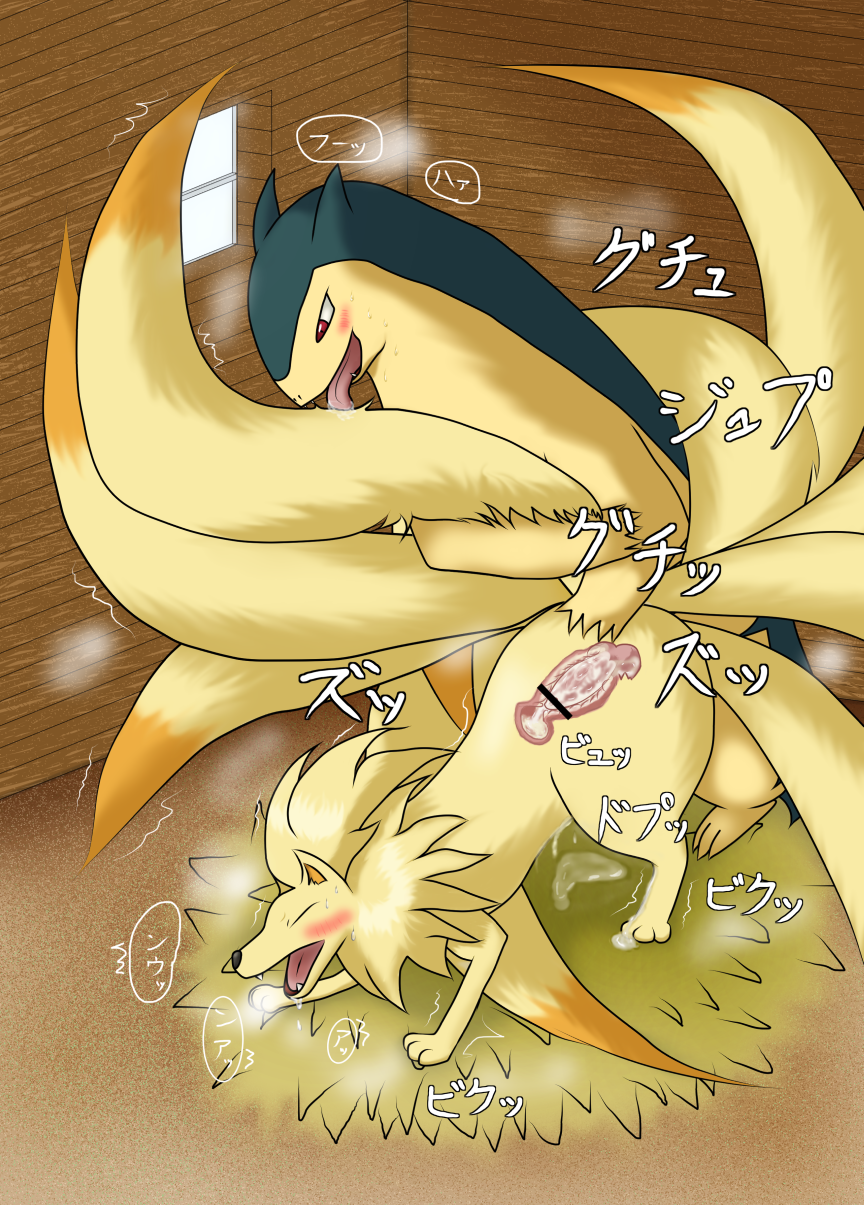 Rule34 – If it exists, there is porn of it / unknown artist, ninetales, typhlosion / 594754
