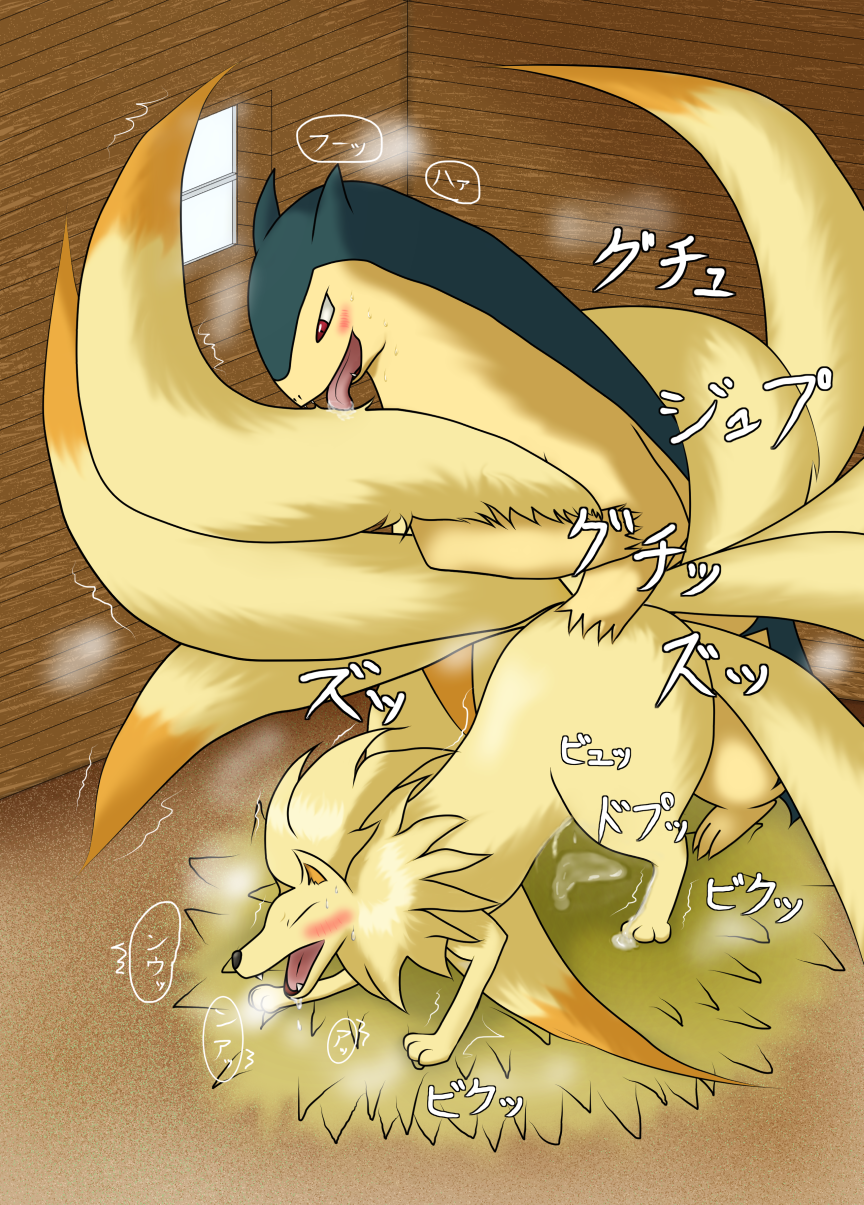 Rule34 – If it exists, there is porn of it / unknown artist, ninetales, typhlosion / 594765