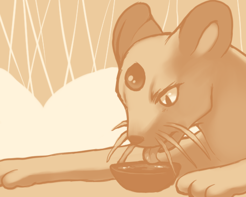 purple kecleon, kecleon, nintendo, pokemon, persian, lowres, food, fruit, gen 1 pokemon, gen 3 pokemon, orange (fruit), pokemon (creature), tea, tongue