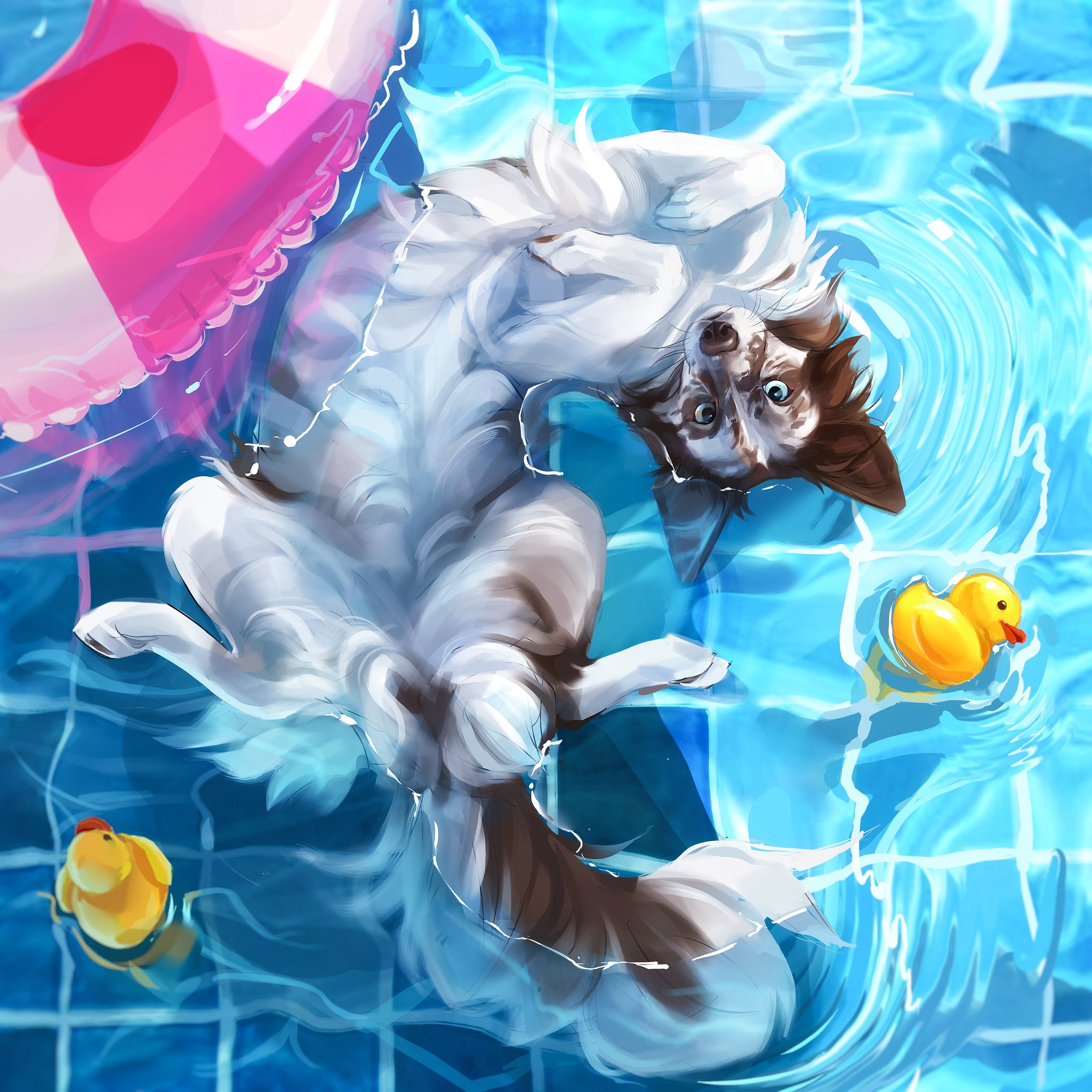 original, highres, animal, animal focus, bwspace69, dog, innertube, looking at viewer, no humans, pool, ripples, rubber duck, swim ring, water