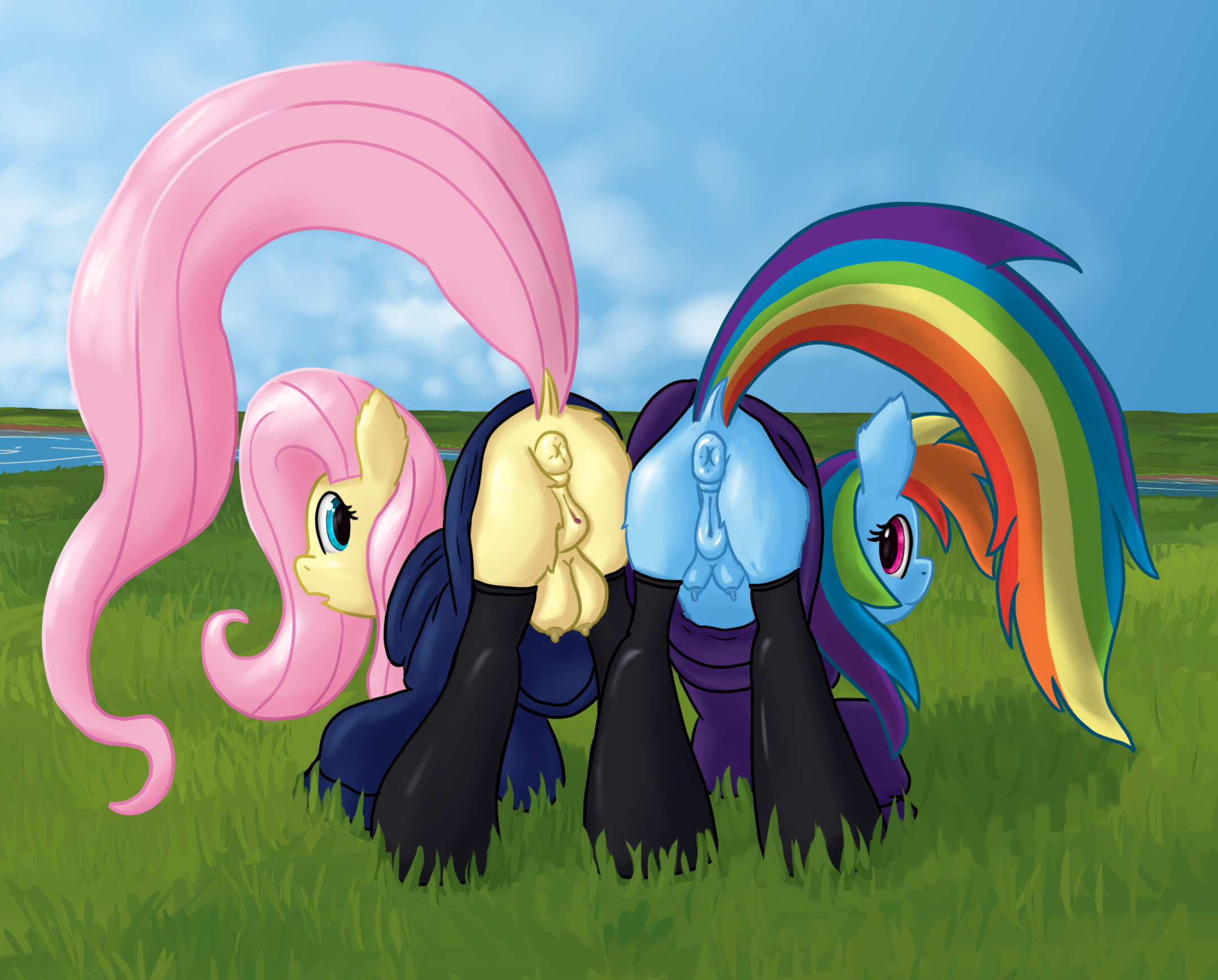Rule34 – If it exists, there is porn of it / fluttershy (mlp), rainbow dash (mlp) / 11685799