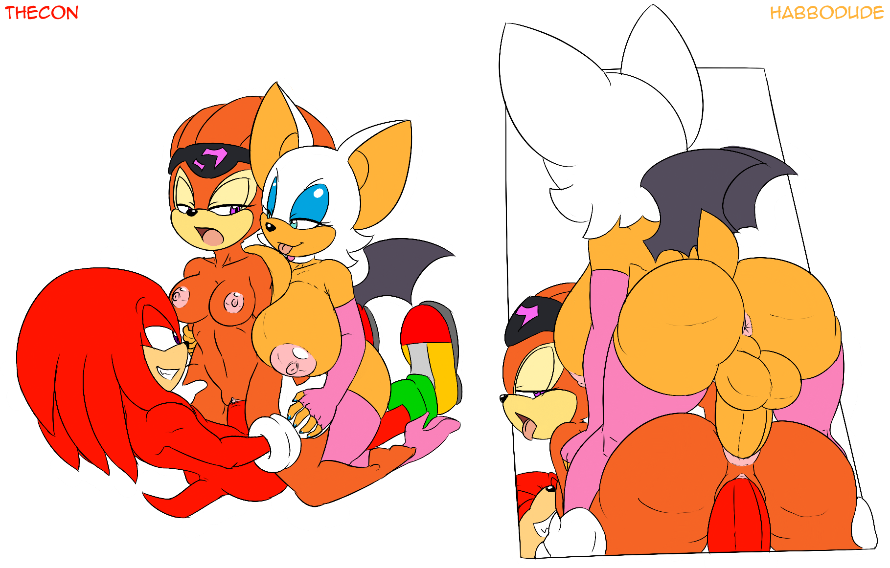 Rule34 – If it exists, there is porn of it / habbodude, thecon, knuckles the echidna, rouge the bat, shade the echidna / 597457