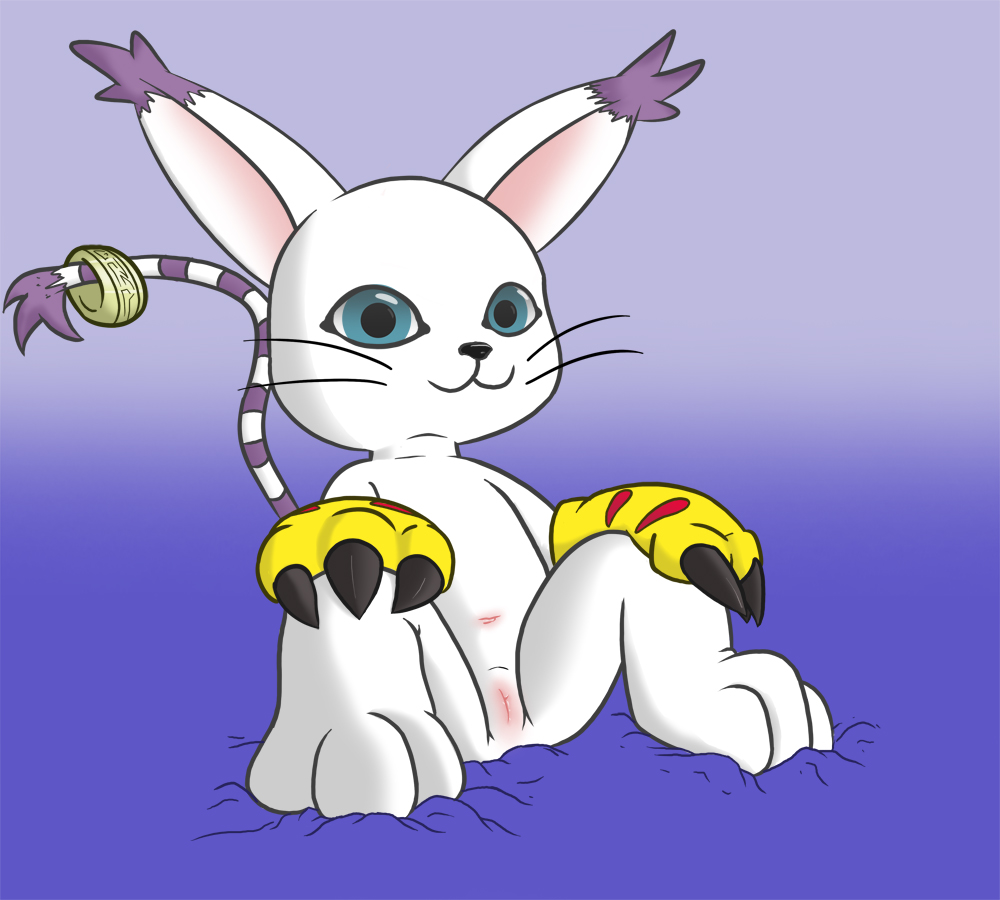 Rule34 – If it exists, there is porn of it / ziyen, gatomon / 598162